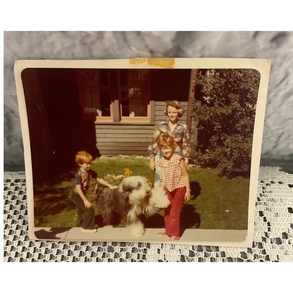 1976 Sheep Dog Christmas Family Photo - Picture 3 of 6